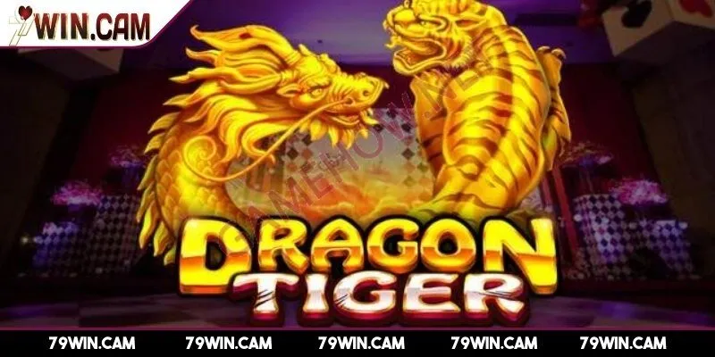 Cách chơi rồng hổ chi tiết từ cơ bản đến nâng cao tại 79Win 3 Cách chơi rồng hổ các bước chi tiết